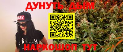 гидра Будённовск