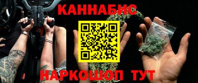 гидра Будённовск