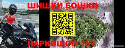 гидра Будённовск