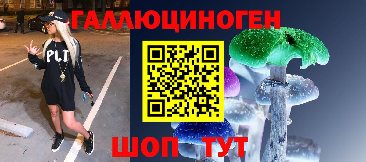 Псилоцибиновые грибы GOLDEN TEACHER  где продают наркотики  Куйбышев  Вход с VPN  Галлюциногенные грибы прущие грибы 
